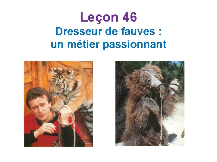 Leçon 46 Dresseur de fauves : un métier passionnant Leçon 46 Dresseur de fauves : un métier passionnant