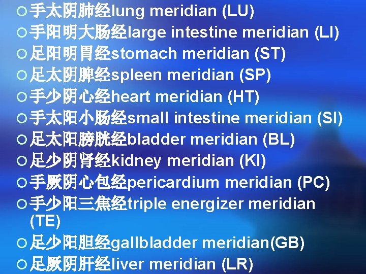 ¡ 手太阴肺经lung meridian (LU) ¡ 手阳明大肠经large intestine meridian (LI) ¡ 足阳明胃经stomach meridian (ST) ¡