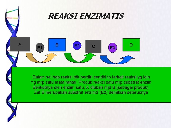 REAKSI ENZIMATIS A E 1 B E 2 C E 3 D Dalam sel