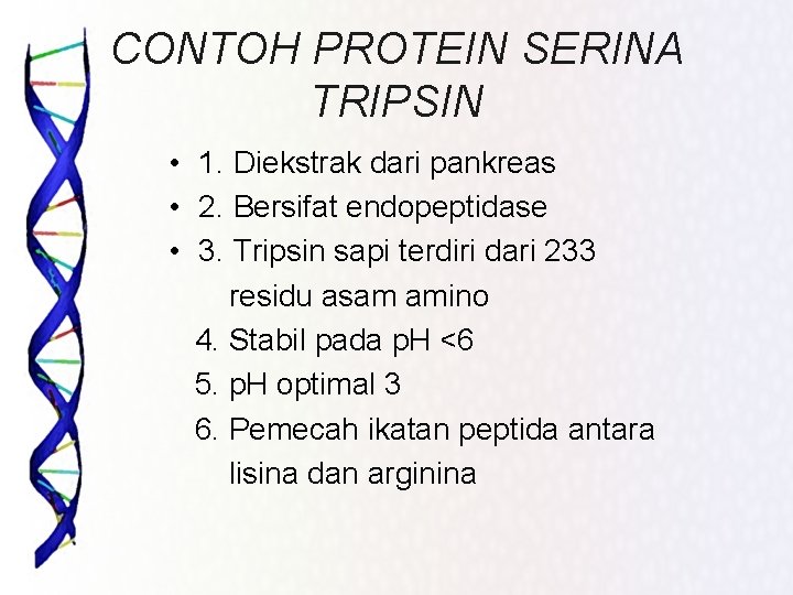 CONTOH PROTEIN SERINA TRIPSIN • 1. Diekstrak dari pankreas • 2. Bersifat endopeptidase •