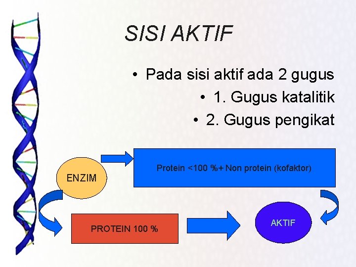 SISI AKTIF • Pada sisi aktif ada 2 gugus • 1. Gugus katalitik •