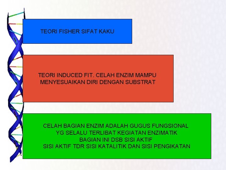 TEORI FISHER SIFAT KAKU TEORI INDUCED FIT. CELAH ENZIM MAMPU MENYESUAIKAN DIRI DENGAN SUBSTRAT