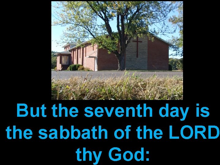 But the seventh day is the sabbath of the LORD thy God: 