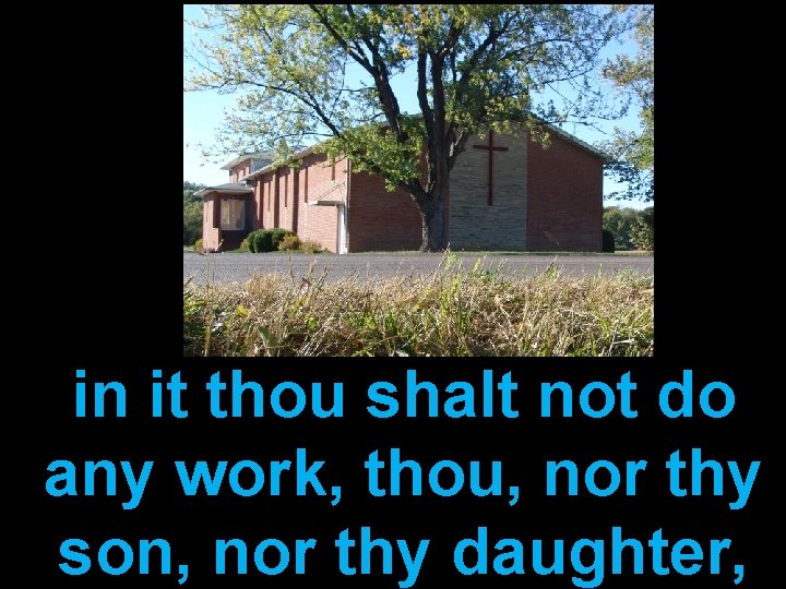 in it thou shalt not do any work, thou, nor thy son, nor thy