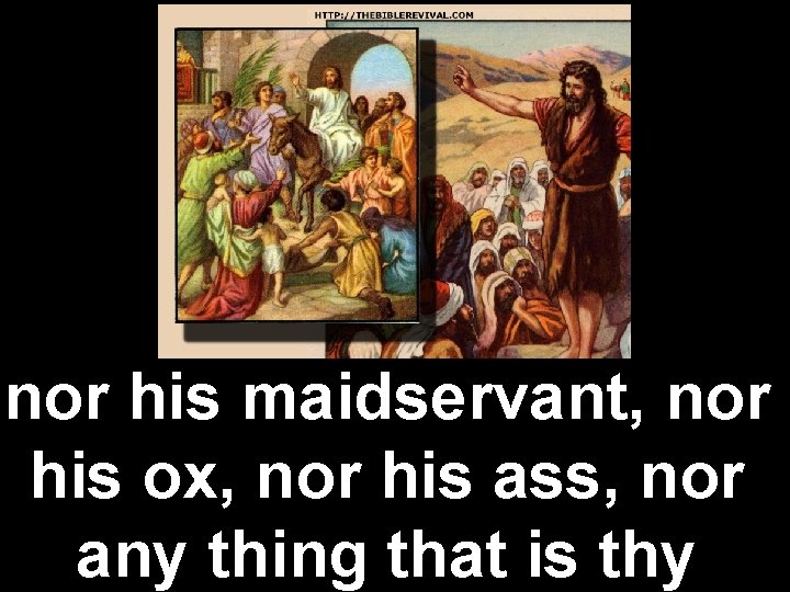 nor his maidservant, nor his ox, nor his ass, nor any thing that is