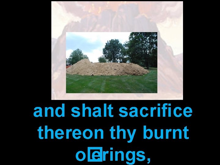 and shalt sacriﬁce thereon thy burnt o� erings, 