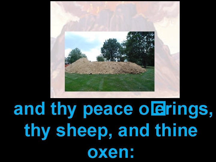 and thy peace o� erings, thy sheep, and thine oxen: 