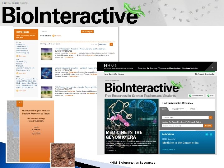 HHMI Bio. Interactive Resources 