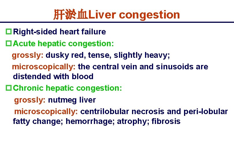 肝淤血Liver congestion p Right-sided heart failure p Acute hepatic congestion: grossly: dusky red, tense,