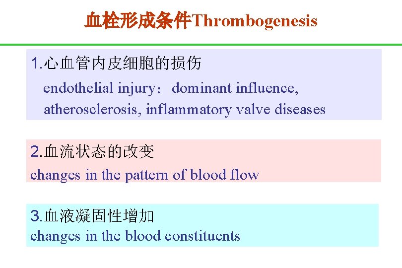 血栓形成条件Thrombogenesis 1. 心血管内皮细胞的损伤 endothelial injury：dominant influence, atherosclerosis, inflammatory valve diseases 2. 血流状态的改变 changes in