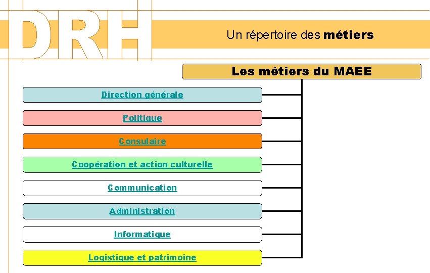 Un répertoire des métiers Les métiers du MAEE Direction générale Politique Consulaire Coopération et