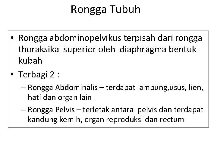 Rongga Tubuh • Rongga abdominopelvikus terpisah dari rongga thoraksika superior oleh diaphragma bentuk kubah