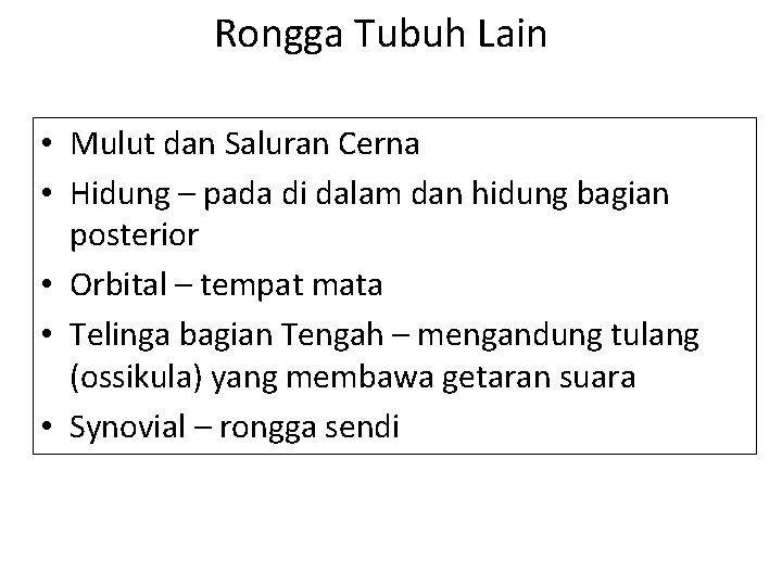 Rongga Tubuh Lain • Mulut dan Saluran Cerna • Hidung – pada di dalam