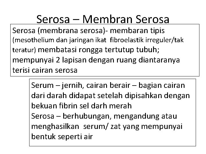 Serosa – Membran Serosa (membrana serosa)- membaran tipis (mesothelium dan jaringan ikat fibroelastik irreguler/tak