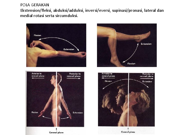 POLA GERAKAN Ekstension/fleksi, abduksi/adduksi, inversi/eversi, supinasi/pronasi, lateral dan medial rotasi serta sircumduksi. 