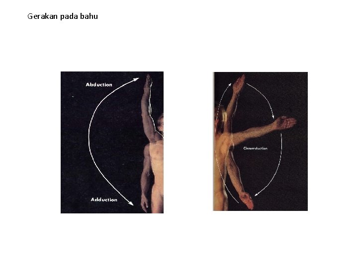 Gerakan pada bahu 