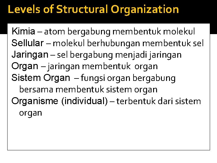 Levels of Structural Organization Kimia – atom bergabung membentuk molekul Sellular – molekul berhubungan