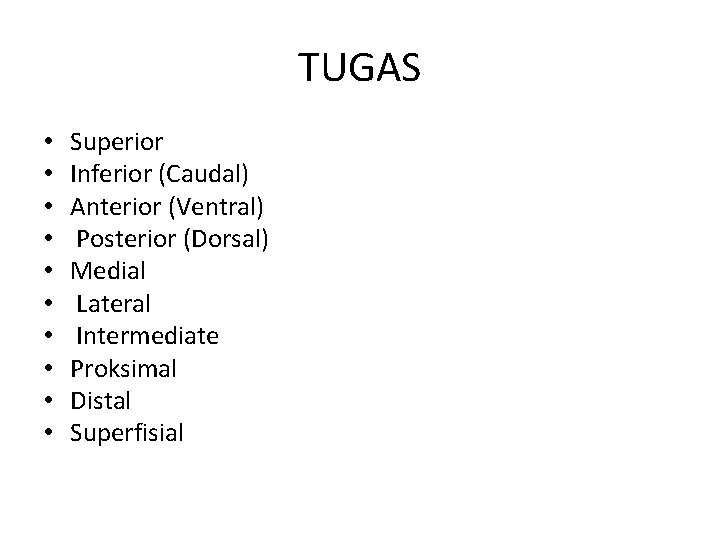 TUGAS • • • Superior Inferior (Caudal) Anterior (Ventral) Posterior (Dorsal) Medial Lateral Intermediate
