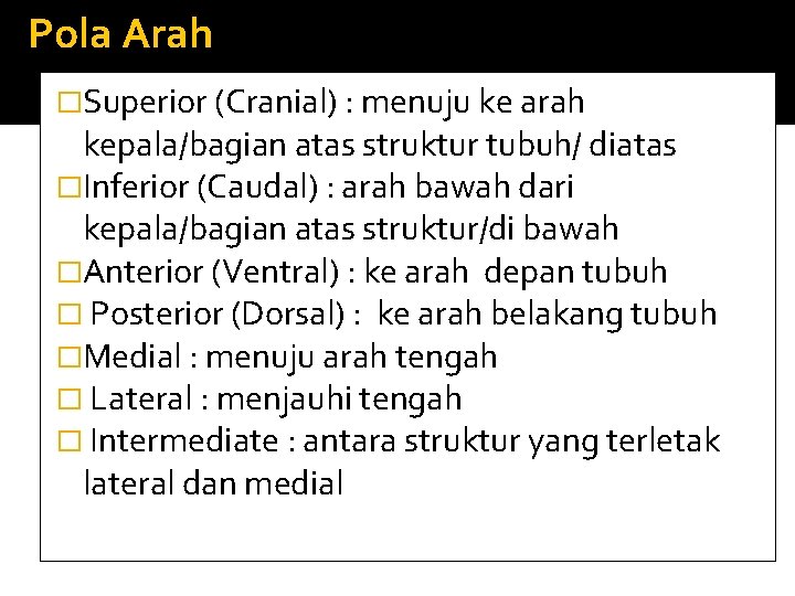 Pola Arah �Superior (Cranial) : menuju ke arah kepala/bagian atas struktur tubuh/ diatas �Inferior