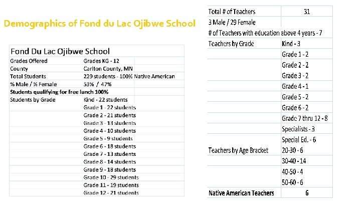 Demographics of Fond du Lac Ojibwe School 