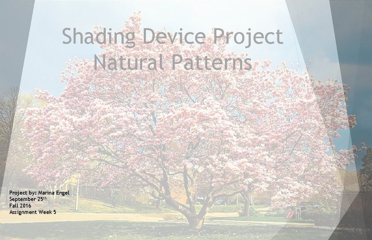 Shading Device Project Natural Patterns Project by: Marina Engel September 25 th Fall 2016