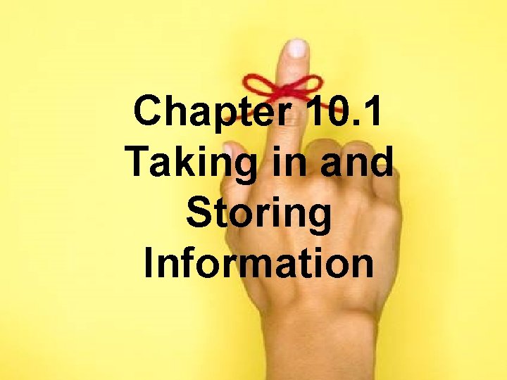 Chapter 10. 1 Taking in and Storing Information Chapter 10. 1 Taking in and Storing Information