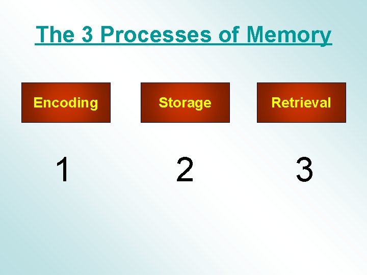 The 3 Processes of Memory Encoding Storage Retrieval 1 2 3 The 3 Processes of Memory Encoding Storage Retrieval 1 2 3