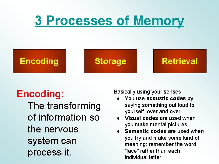 3 Processes of Memory Encoding Storage Encoding: The transforming of information so the nervous 3 Processes of Memory Encoding Storage Encoding: The transforming of information so the nervous
