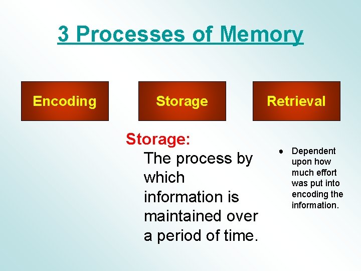 3 Processes of Memory Encoding Storage: The process by which information is maintained over 3 Processes of Memory Encoding Storage: The process by which information is maintained over
