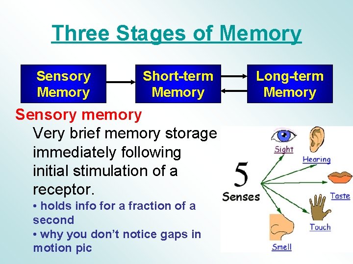 Three Stages of Memory Sensory Memory Short-term Memory Sensory memory Very brief memory storage Three Stages of Memory Sensory Memory Short-term Memory Sensory memory Very brief memory storage
