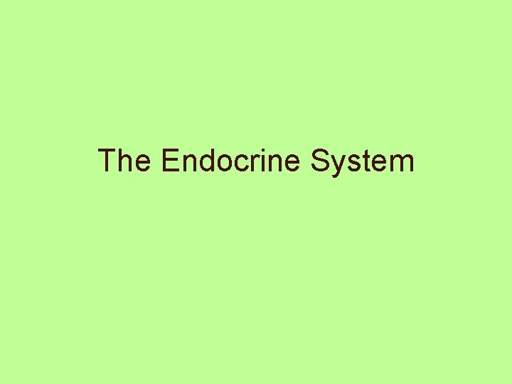 The Endocrine System 