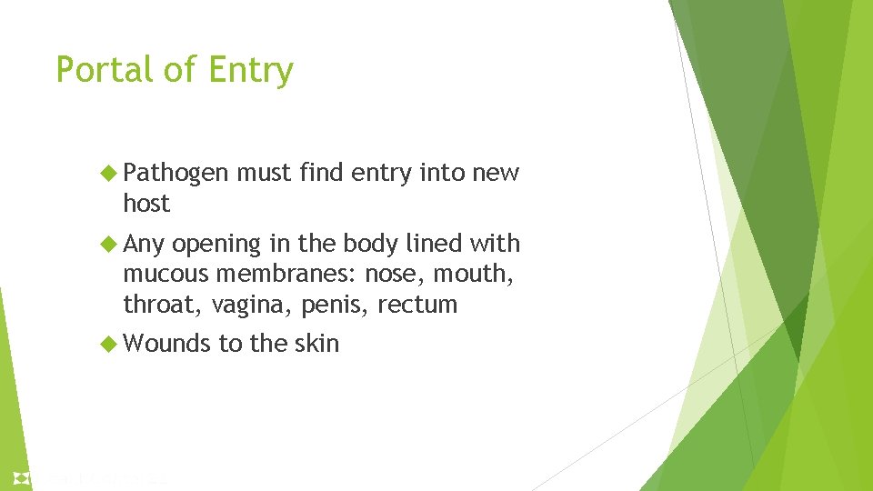 Portal of Entry Pathogen must find entry into new host Any opening in the Portal of Entry Pathogen must find entry into new host Any opening in the