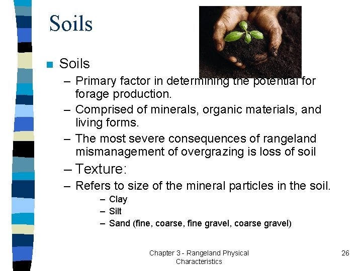 Soils n Soils – Primary factor in determining the potential forage production. – Comprised