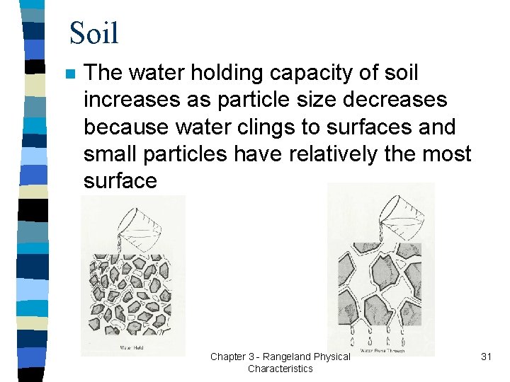 Soil n The water holding capacity of soil increases as particle size decreases because