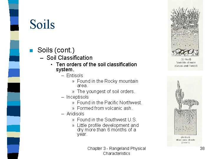 Soils n Soils (cont. ) – Soil Classification • Ten orders of the soil