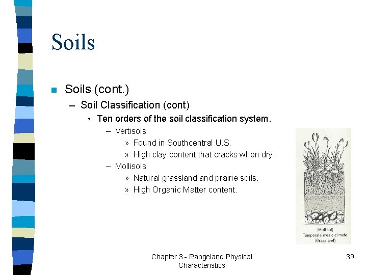 Soils n Soils (cont. ) – Soil Classification (cont) • Ten orders of the