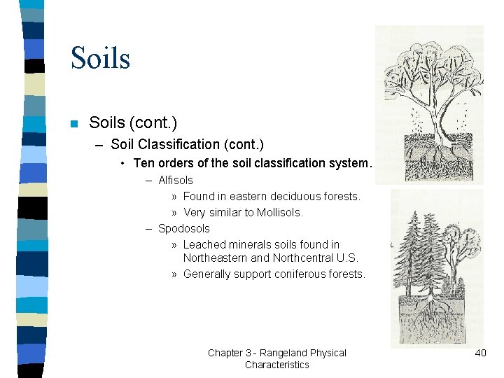 Soils n Soils (cont. ) – Soil Classification (cont. ) • Ten orders of