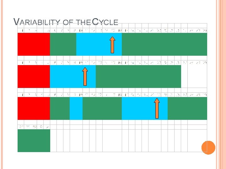 VARIABILITY OF THE CYCLE VARIABILITY OF THE CYCLE