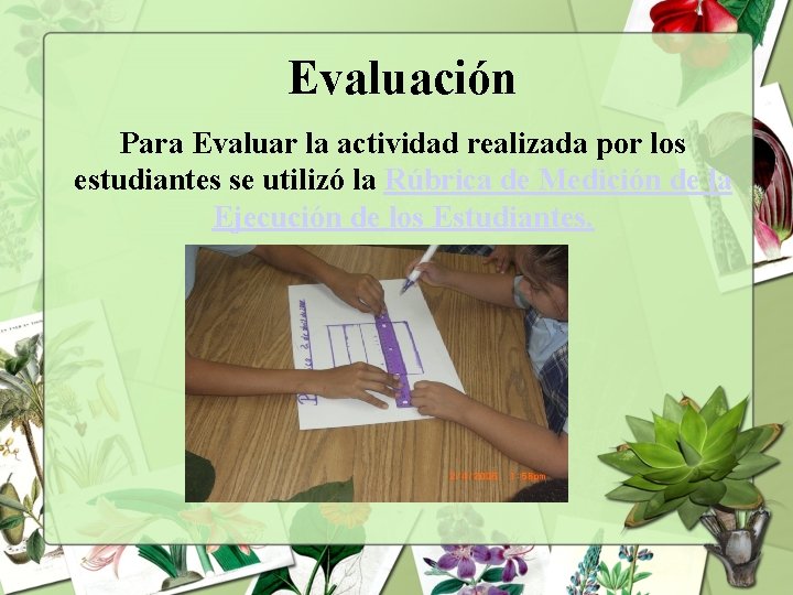 Evaluación Para Evaluar la actividad realizada por los estudiantes se utilizó la Rúbrica de