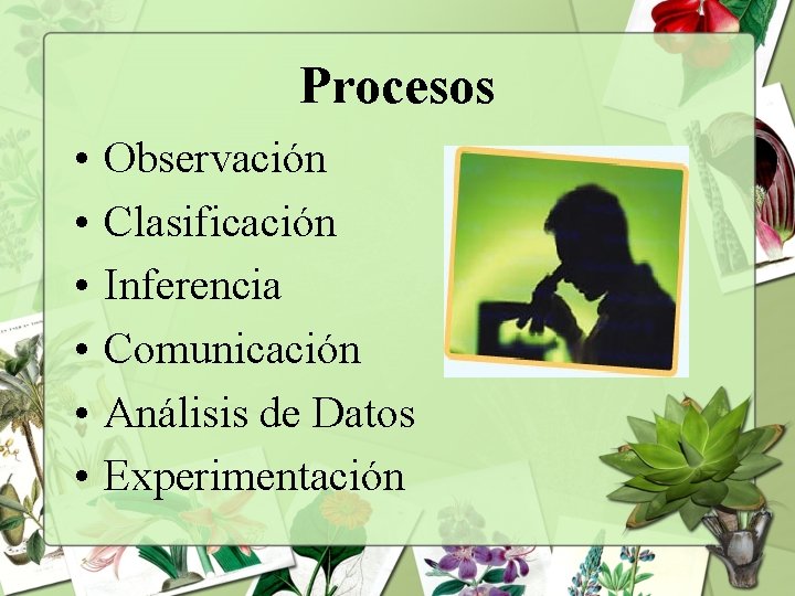 Procesos • • • Observación Clasificación Inferencia Comunicación Análisis de Datos Experimentación 