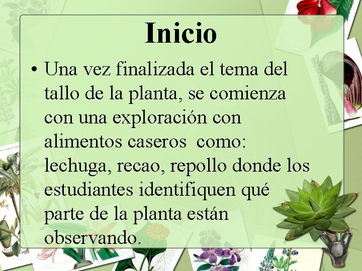 Inicio • Una vez finalizada el tema del tallo de la planta, se comienza