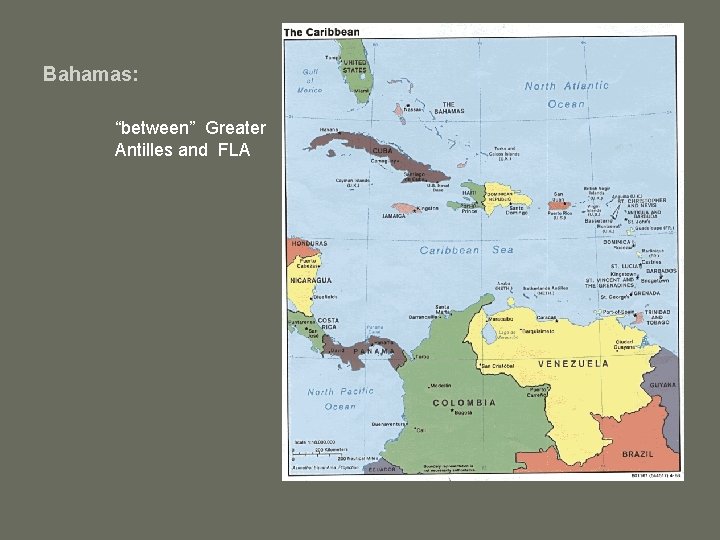 Bahamas: “between” Greater Antilles and FLA 