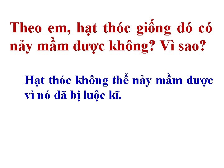 Theo em, hạt thóc giống đó có nảy mầm được không? Vì sao? Hạt
