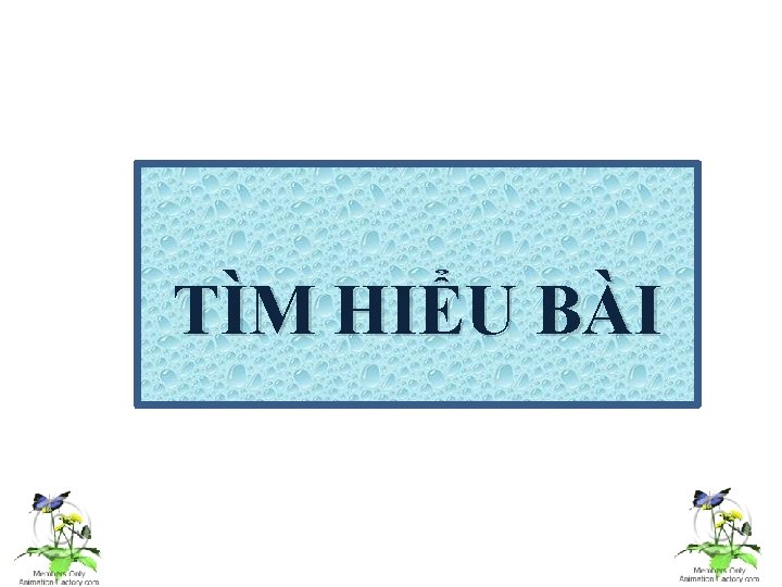 TÌM HIỂU BÀI 