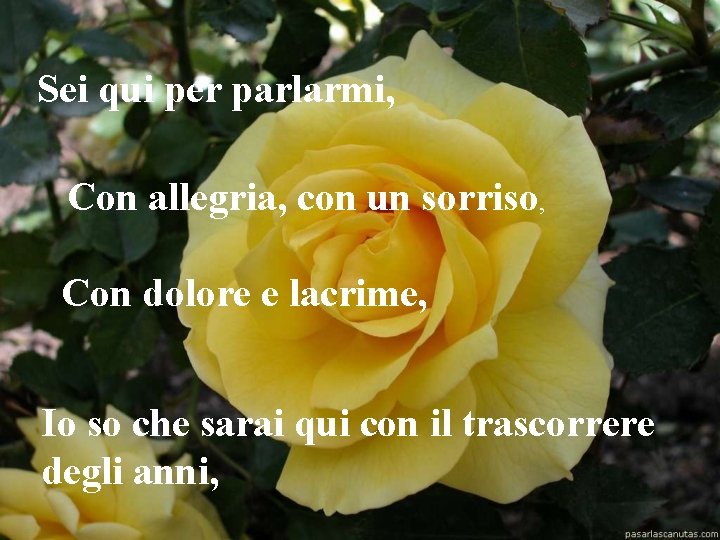 Sei qui per parlarmi, Con allegria, con un sorriso, Con dolore e lacrime, Io