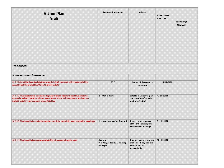 Action Plan Draft Responsible person Actions Time frame End time Monitoring Strategy Measures A.