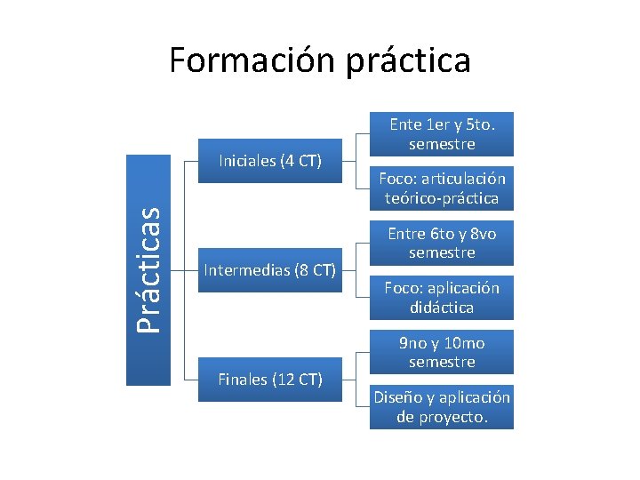 Formación práctica Prácticas Iniciales (4 CT) Intermedias (8 CT) Finales (12 CT) Ente 1