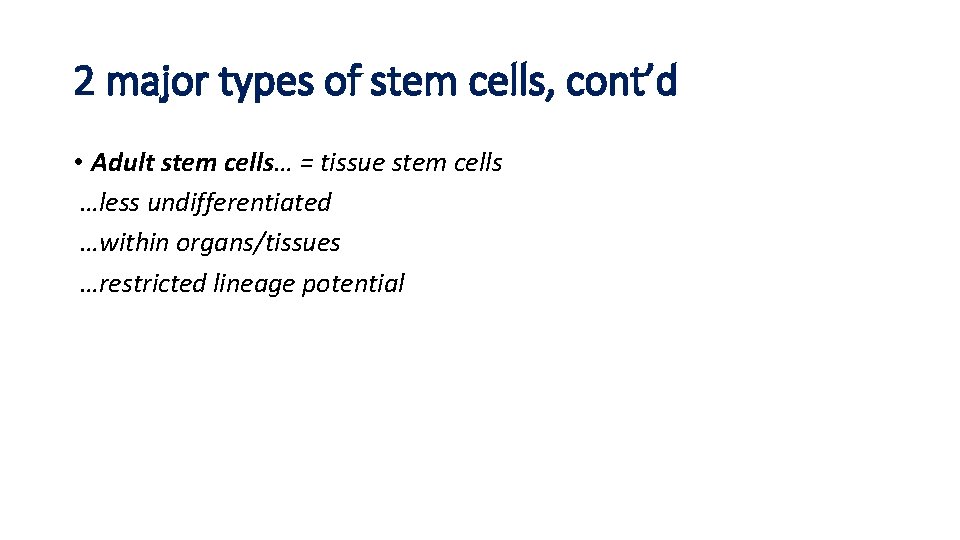 2 major types of stem cells, cont’d • Adult stem cells… = tissue stem