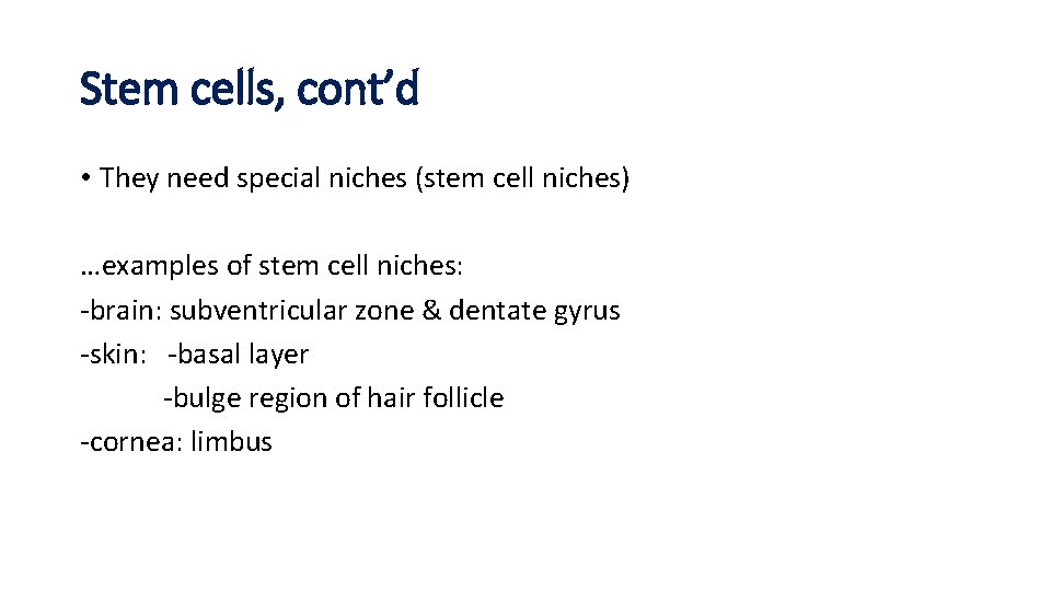 Stem cells, cont’d • They need special niches (stem cell niches) …examples of stem