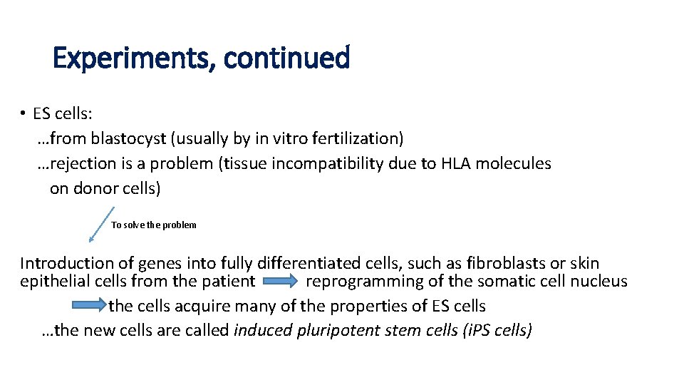 Experiments, continued • ES cells: …from blastocyst (usually by in vitro fertilization) …rejection is